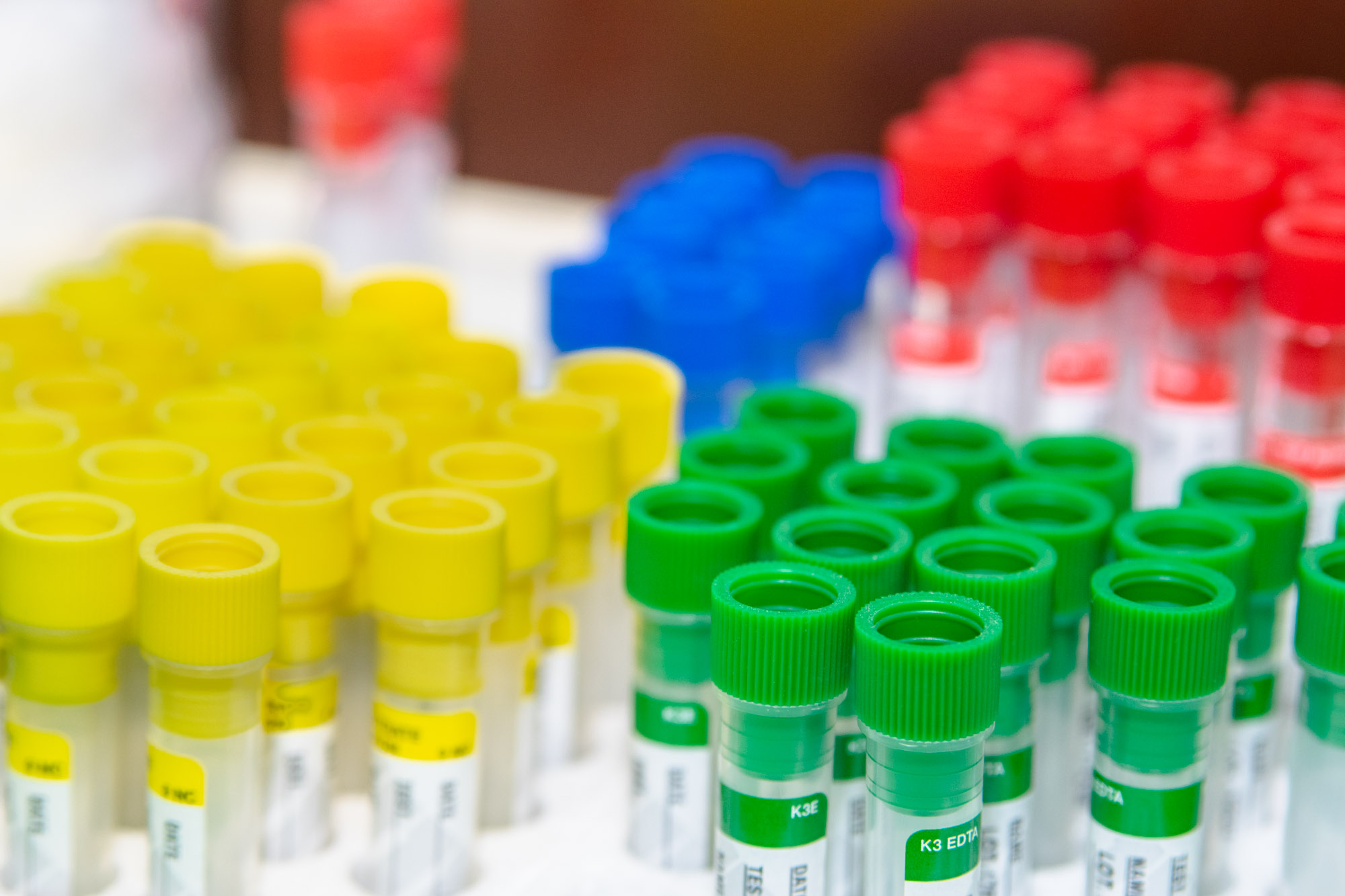 Laboratorio Analisi | veterinari