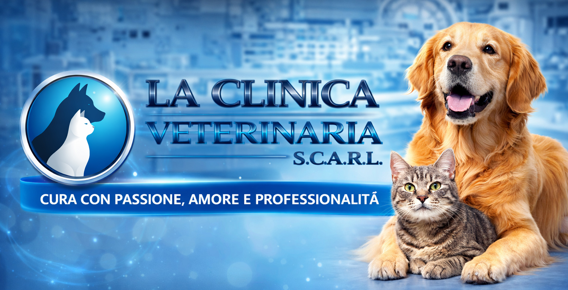 Staff qualificato | veterinari